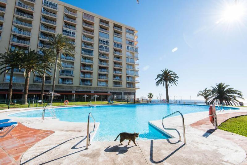 Urbanizacion La Roca, Estudio توريمولينوس المظهر الخارجي الصورة